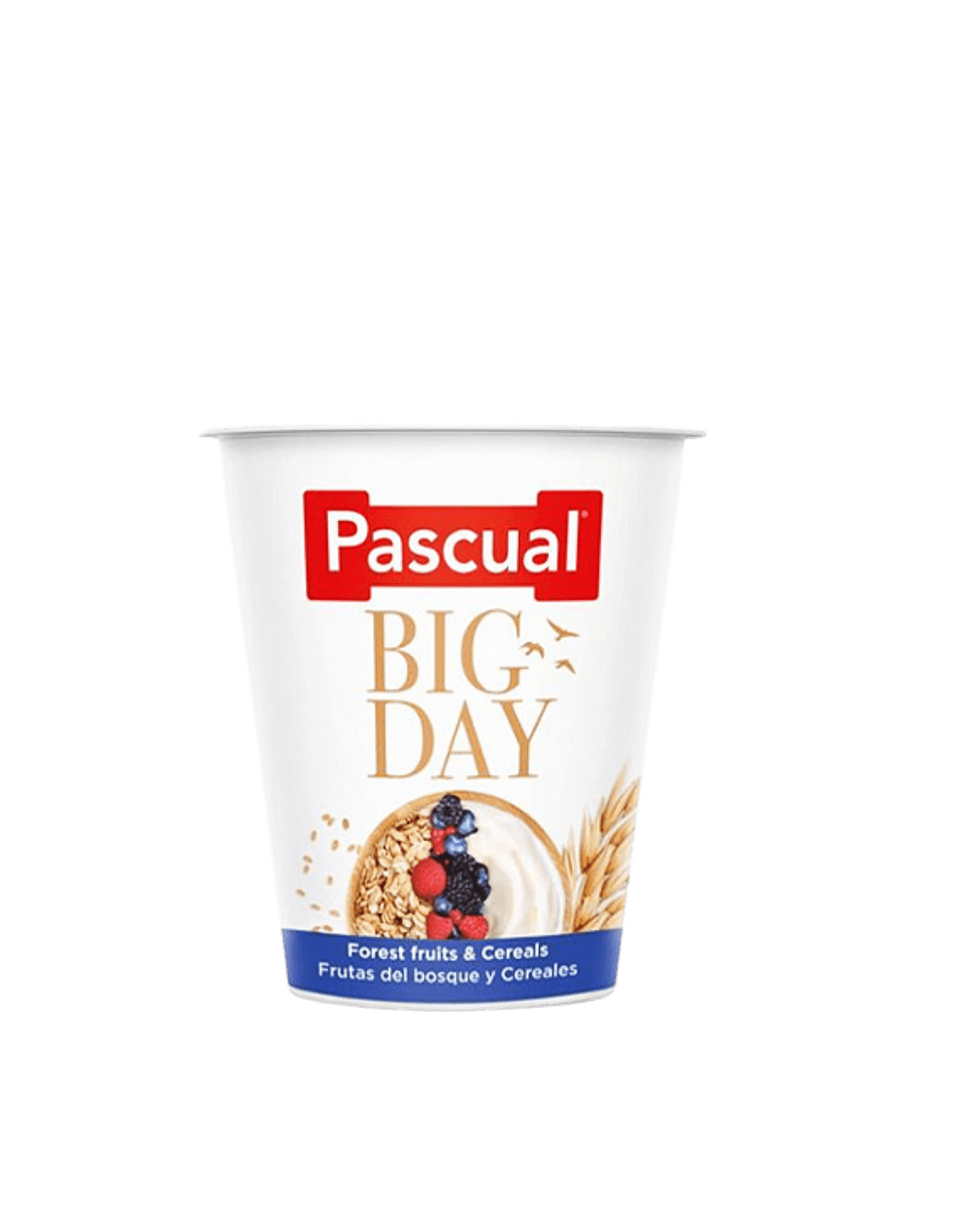 Pascual Big Day Fruits and Cereals Yoghurt 125 gm |