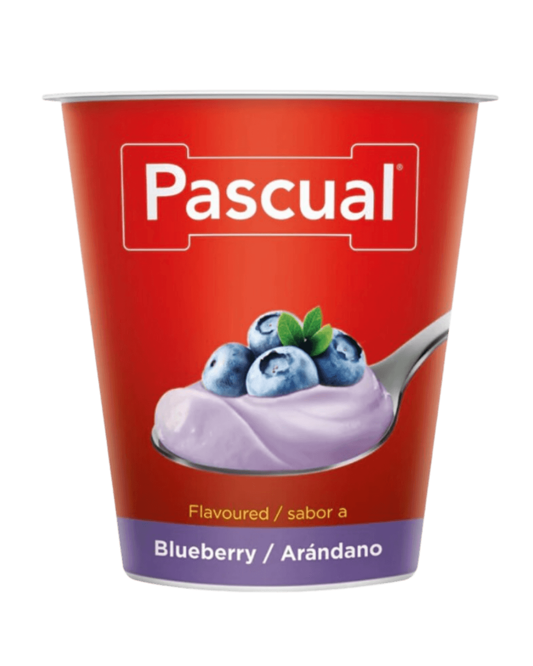 Pascual Blueberry Yogurt 125g
