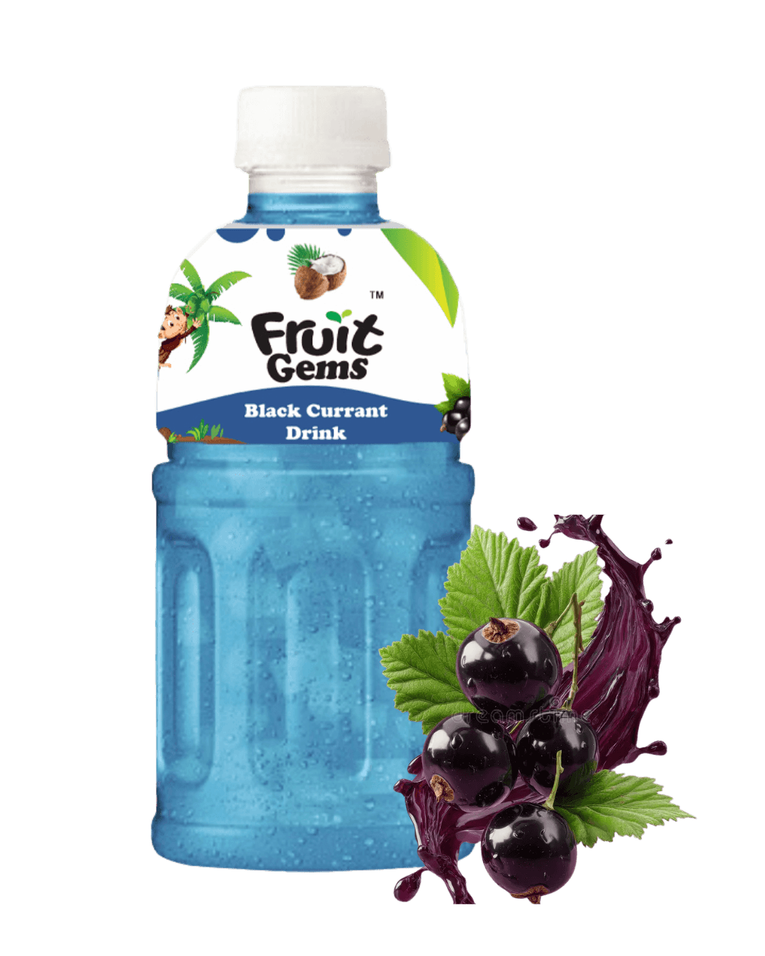 Fruit Gems Black Currant Drink 350ml