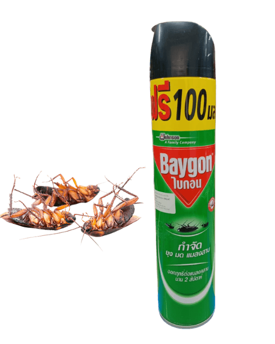 Baygon Multi Insect Killer 700ml