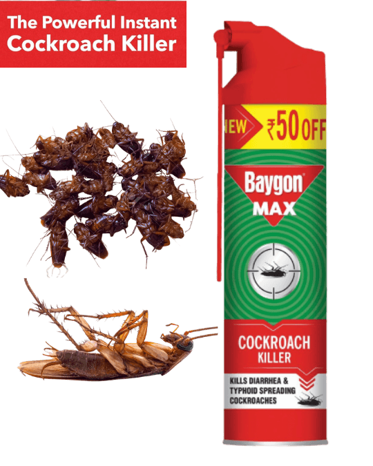 Baygon Max Cockroach Killer Spray 625ml