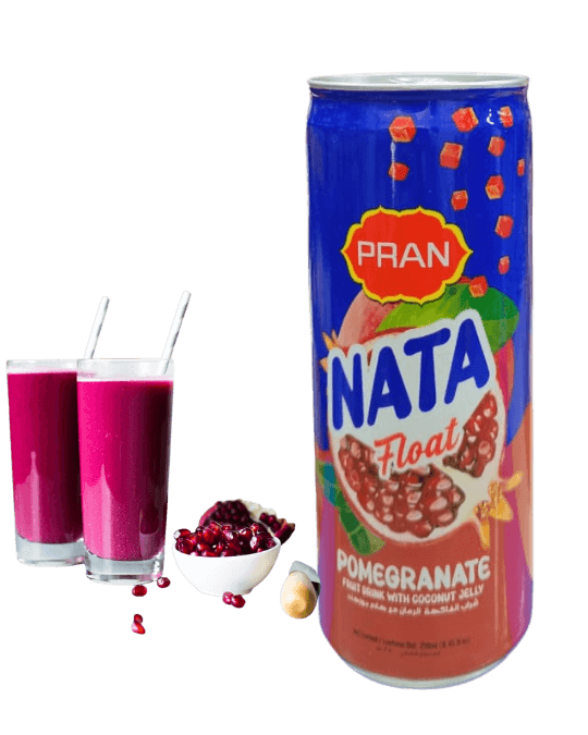 PRAN Nata Float Pomegranate 250ml