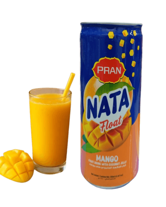 PRAN Nata Float Mango 250ml