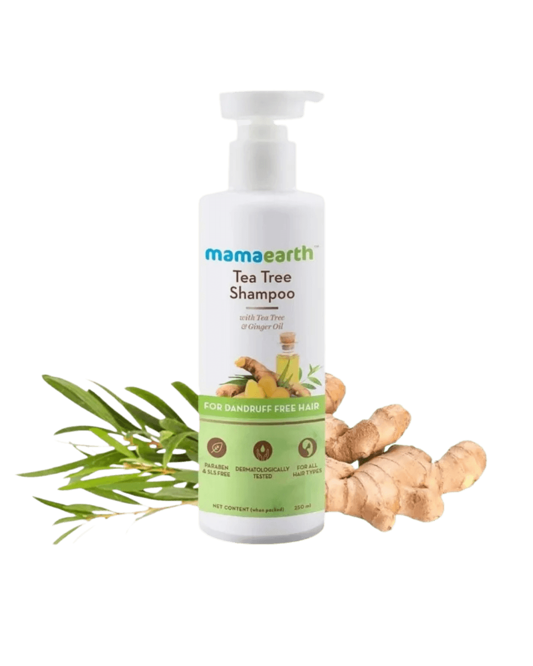 Mamaearth Tea Tree Shampoo - 250ml |