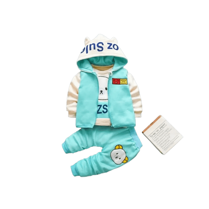 Cozy Cuddle Winter Dress Set – Soft Hooded Top & Matching Pants for Babies (0–24 Months)