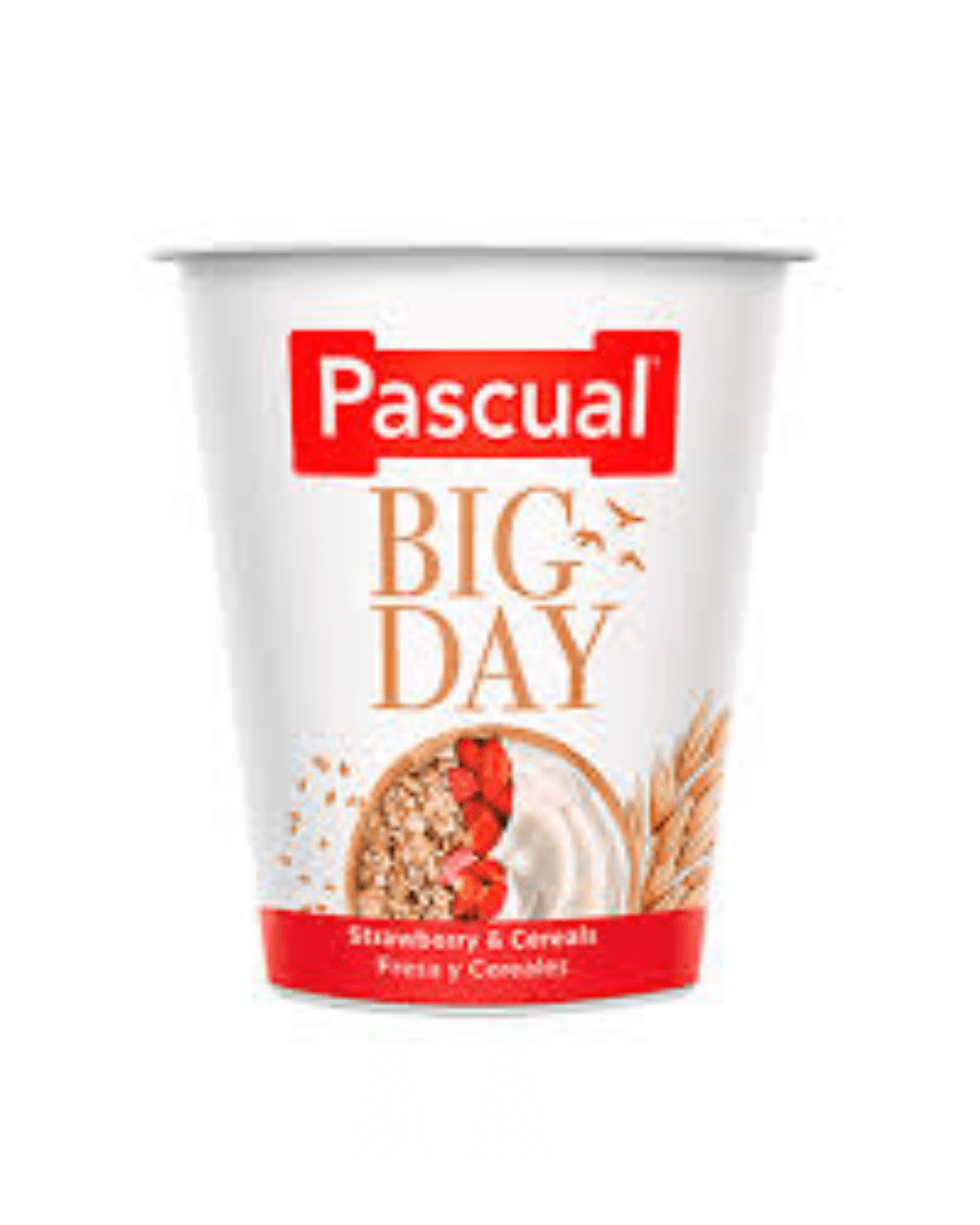 Pascual Big Day Strawberry & Cereals 125g |