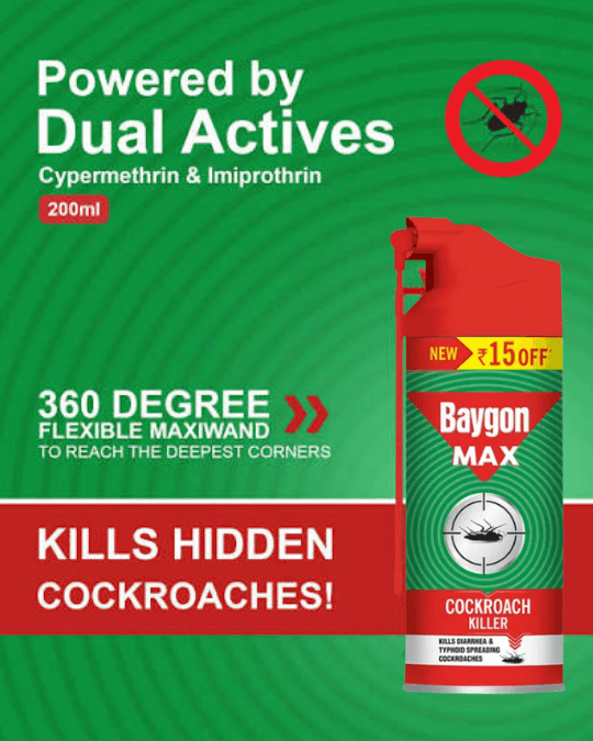 Baygon Max Cockroach Killer 200ml