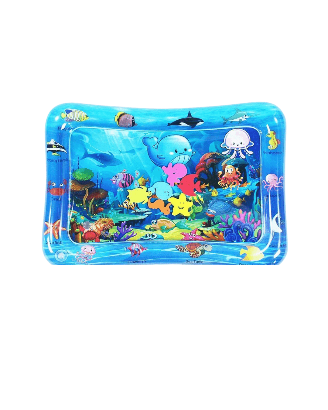Baby Water Play Mat