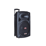 12-Inch-Trolley-Speaker.png