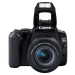 Canon-EOS-mountemart2.jpg